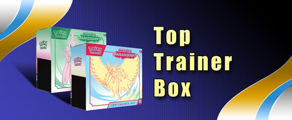 Top Trainer Boxen