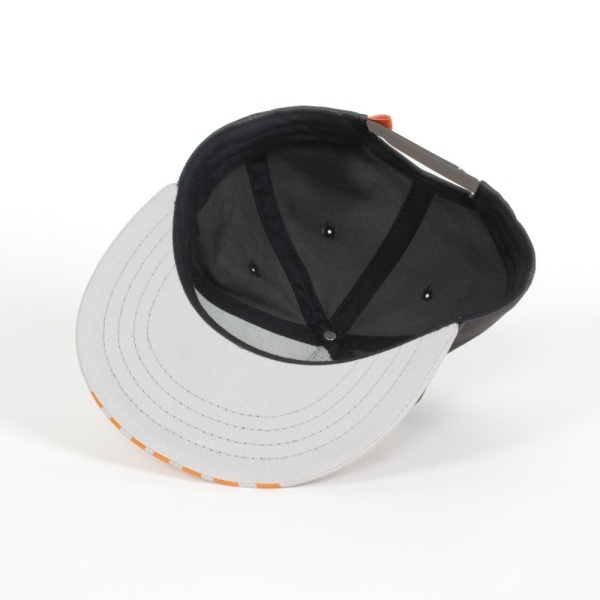 The Division 2 Flag Snapback